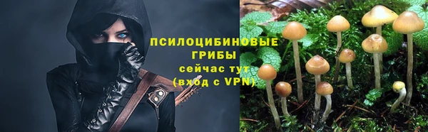 индика Аркадак