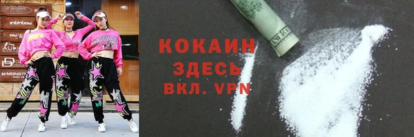 индика Аркадак
