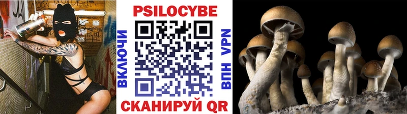 гидра вход  Усолье-Сибирское  Галлюциногенные грибы мухоморы  наркота 